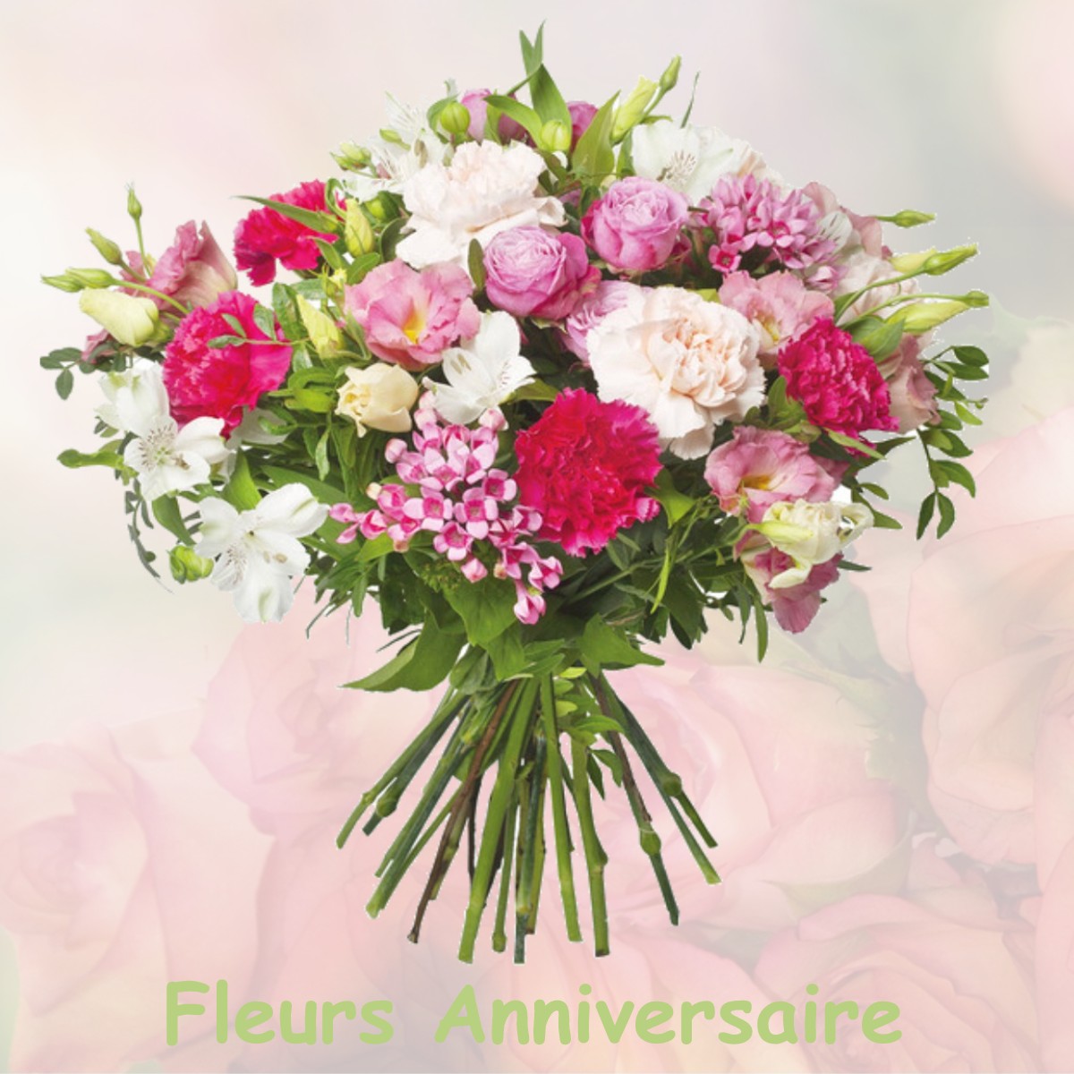 fleurs anniversaire ILLEVILLE-SUR-MONTFORT